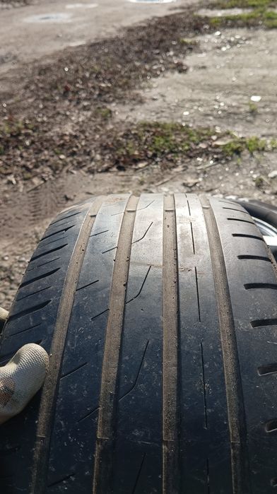 Літня гума TOYO  r15