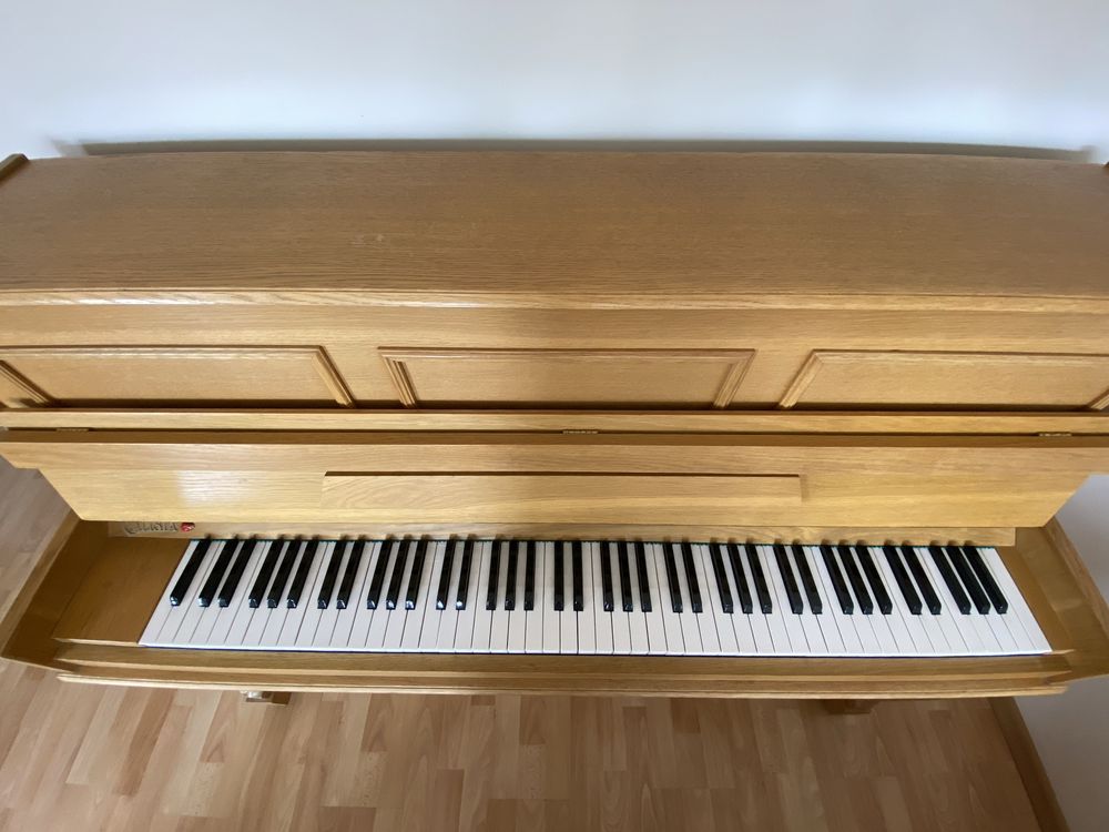 Pianino Calisia M-108