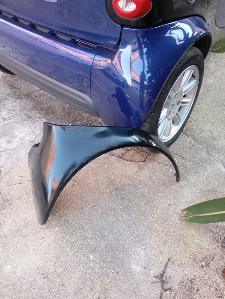 Guarda lamas  Smart 450
