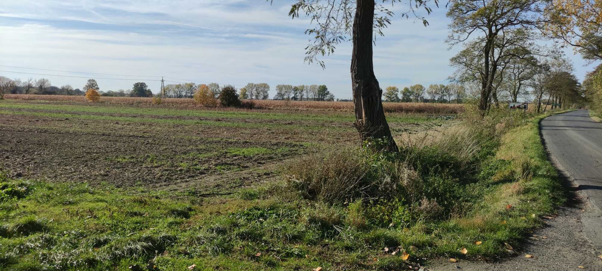 Sprzedam działkę