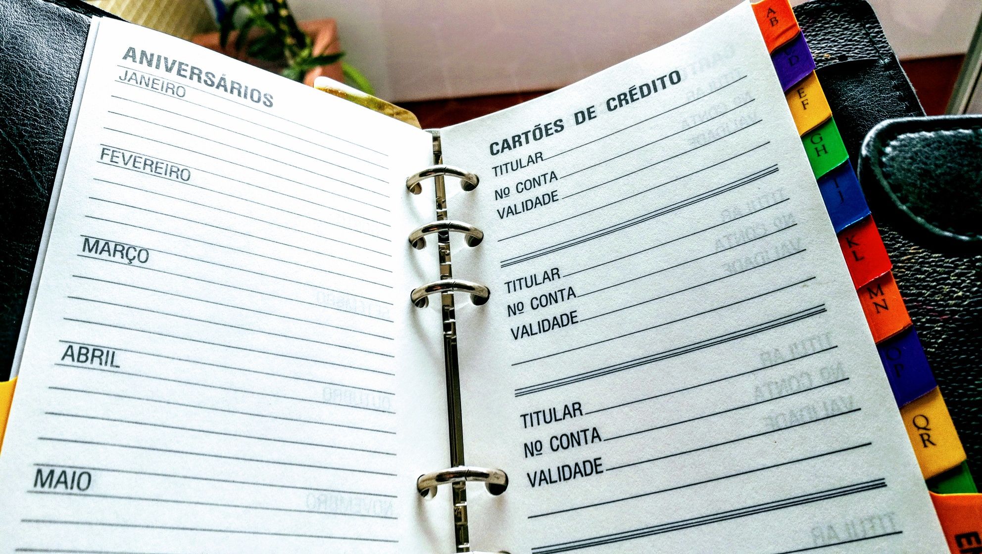 Organizador pessoal planner agenda 18x13cm - NOVO
