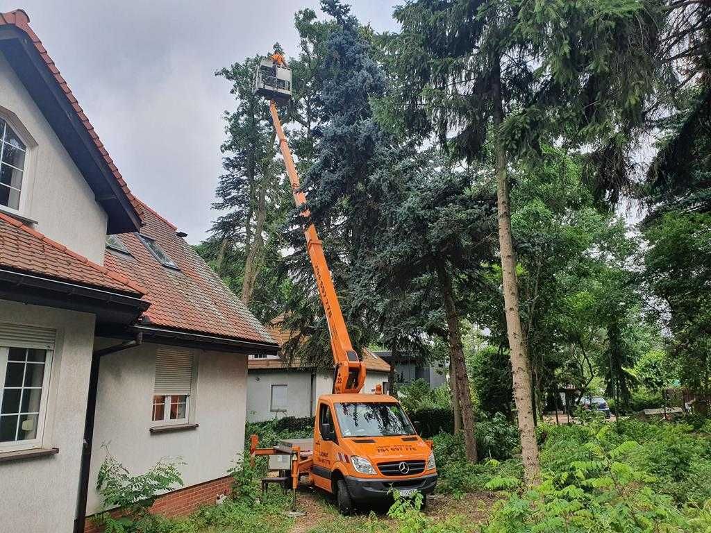 WYCINKA DRZEW frezowanie pni podnośnik koszowy 22m zwyżka rębak