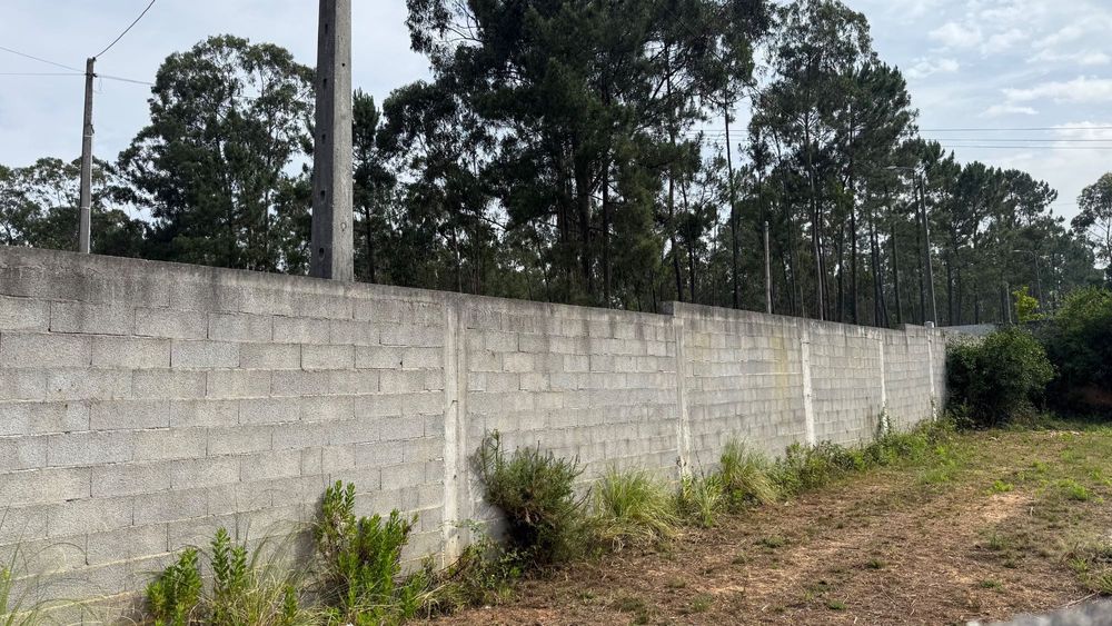 Terreno com boa exposição solar