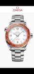 Omega Seamaster Planet Ocean 600m