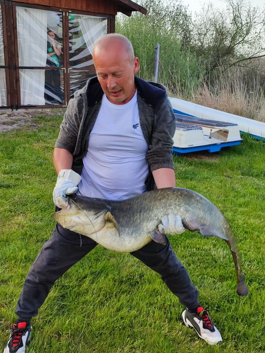 Domek , domki nad jeziorem Serbinówka.