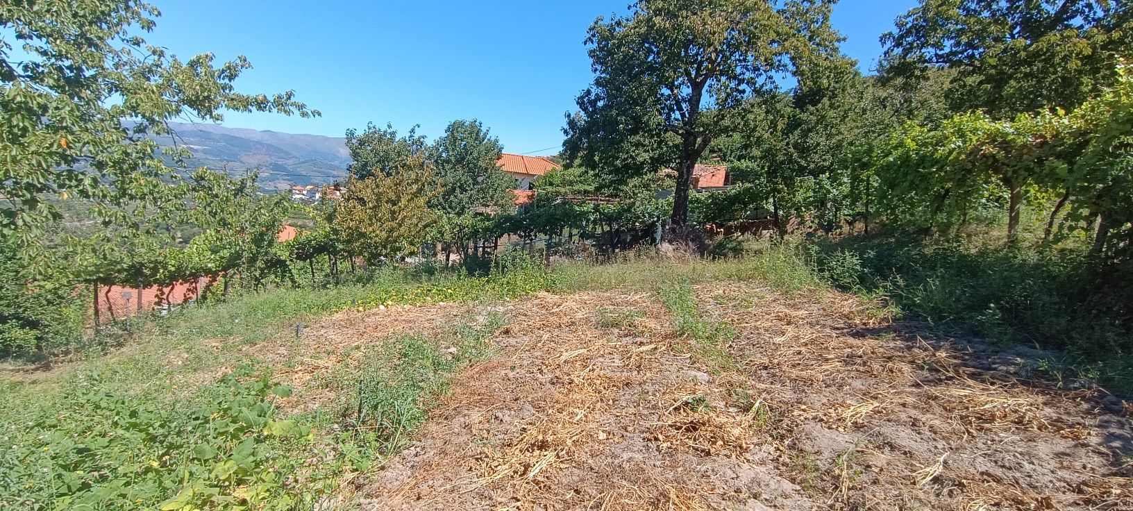 Terreno para venda