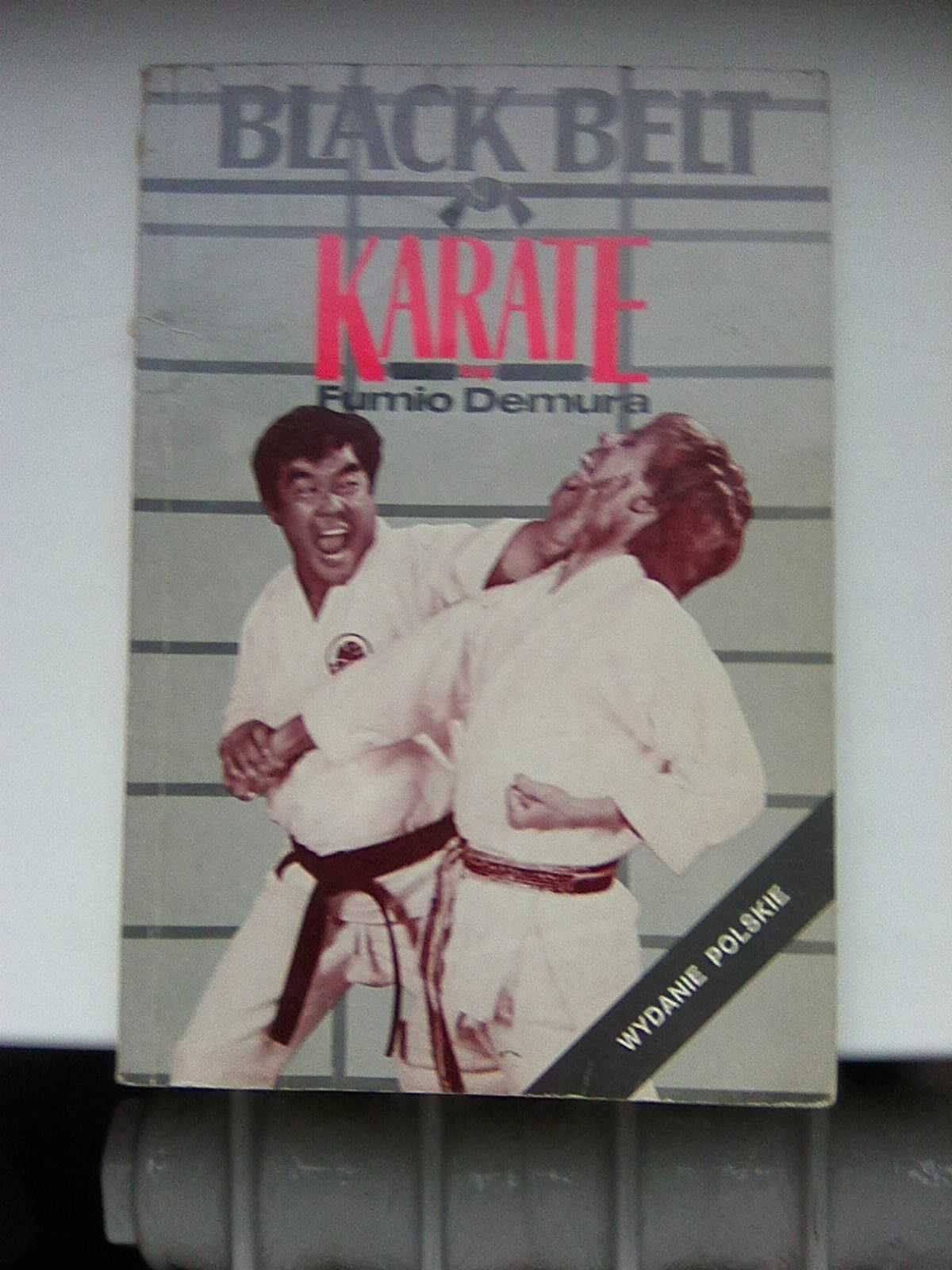 Shito-Ryu karate