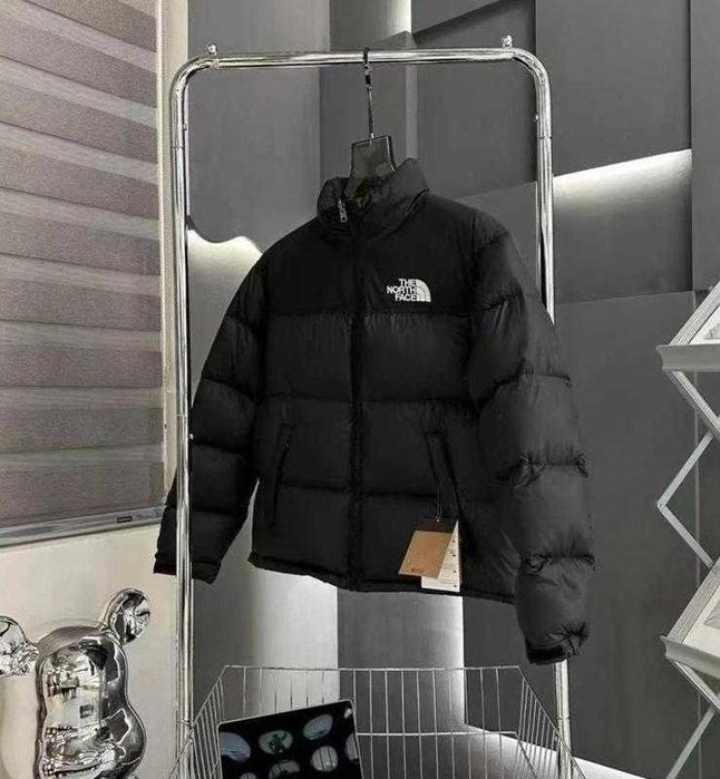 Kurtki zimowe_TheNorthFace_700 ASIA.L