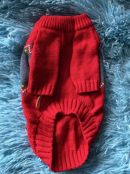 Одяг для маленької собачки