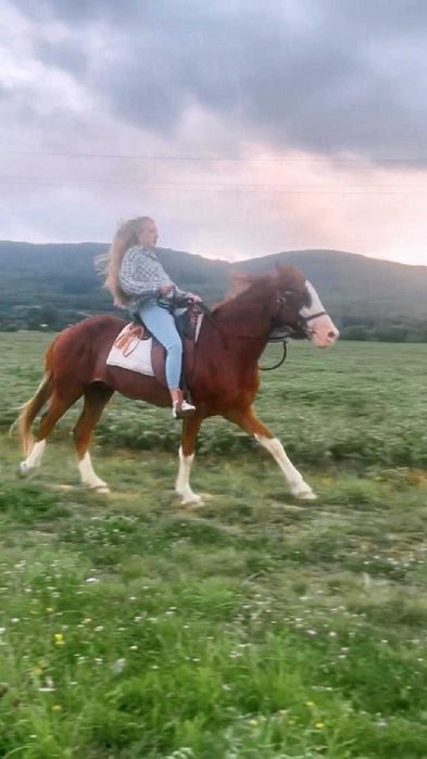 Кінні прогулянки, заняття