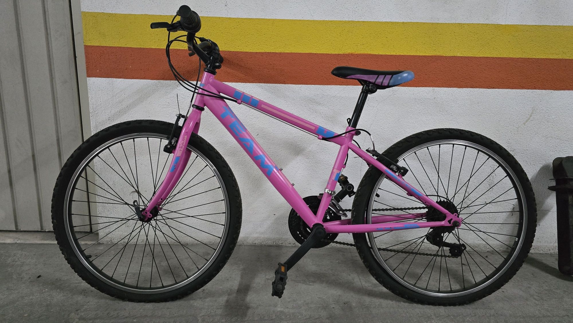 Bicicleta TEAM roda 24"