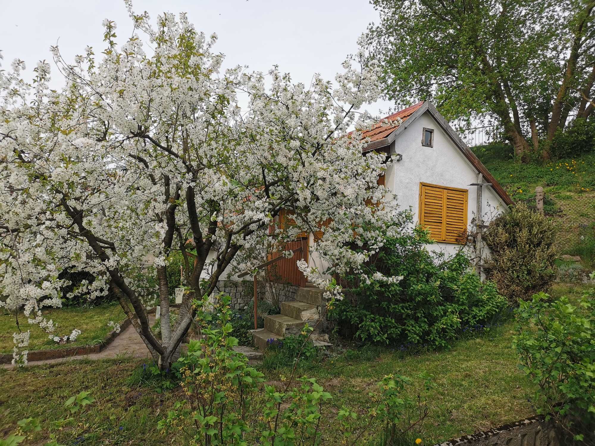 Działka ogrodowa