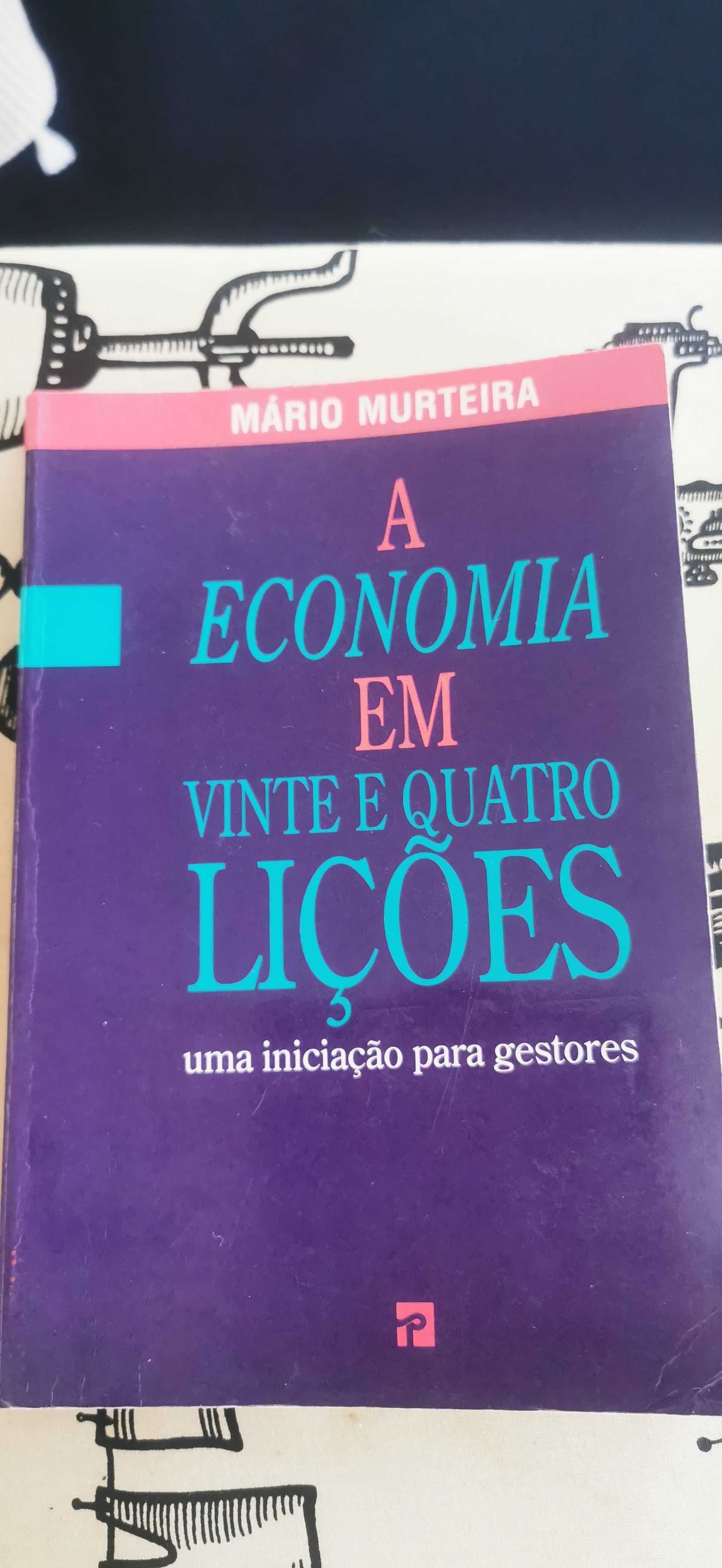 Vendo livro "A Economia em vinte e quatro lições"
