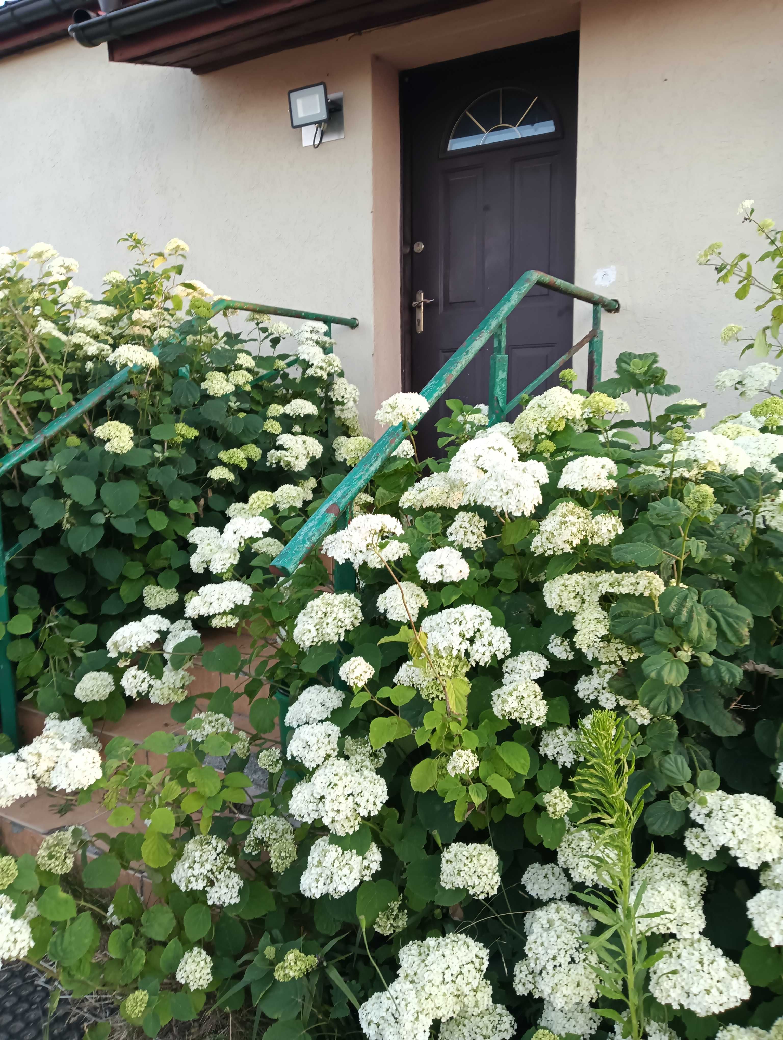 Gospodarstwo Agroturystyczne u Monisi i Kulfona