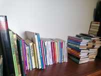 Livros em ótimo estado