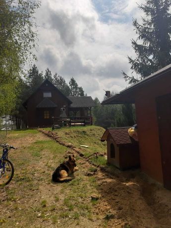 Działka rekreacyjna z domkiem, las i jezioro w okolicy