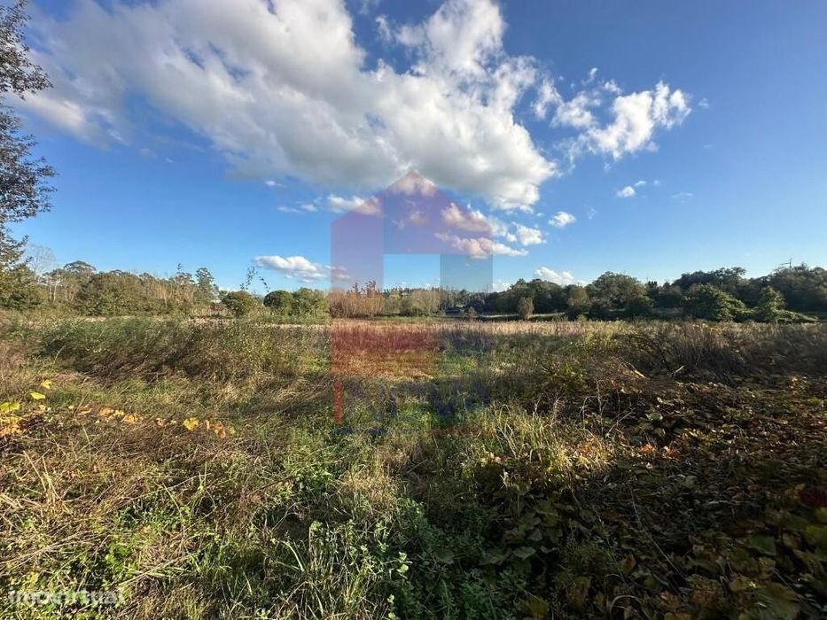 Terreno Agrícola, Loureira