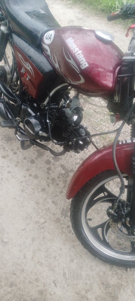 musstang  Fit mt125-8 2021 року
