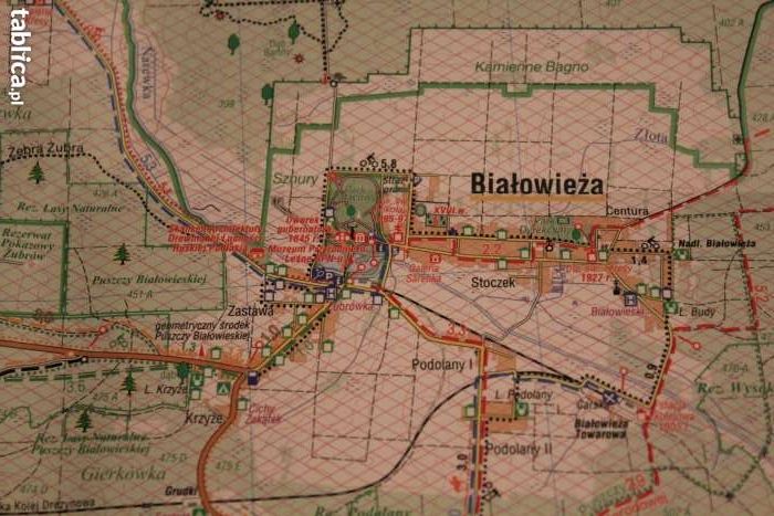 Narewka i okolice-Białowieski Park Narodowy-mapa-645