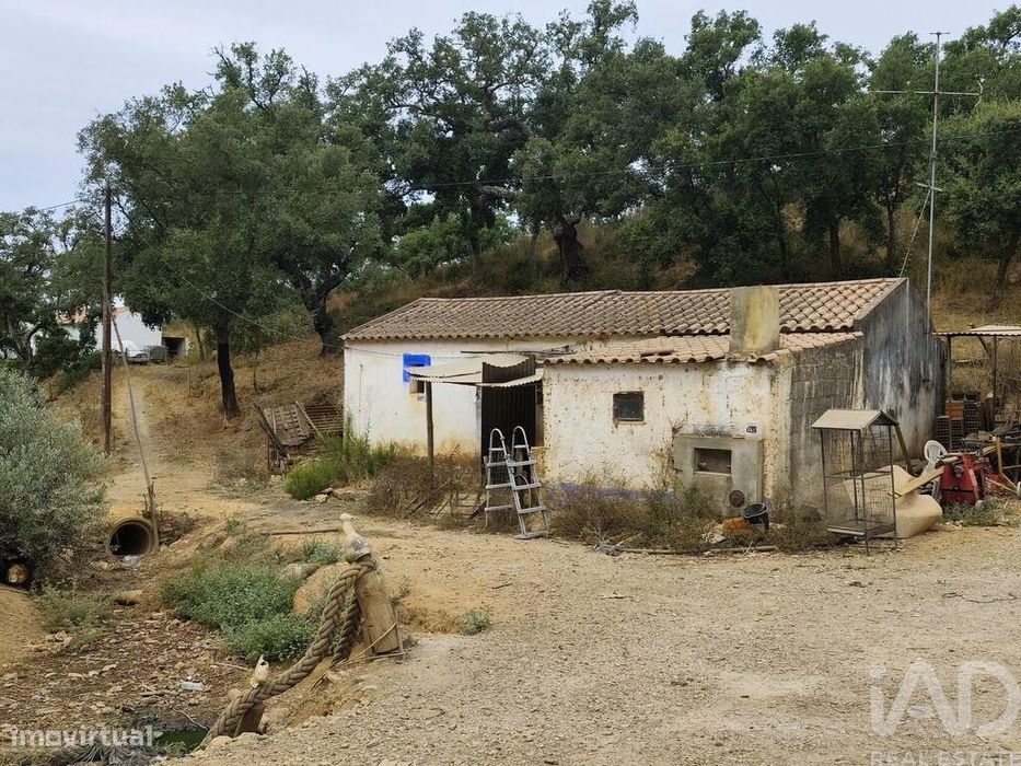 Casa de Campo T1 em Relíquias de 47,00 m2