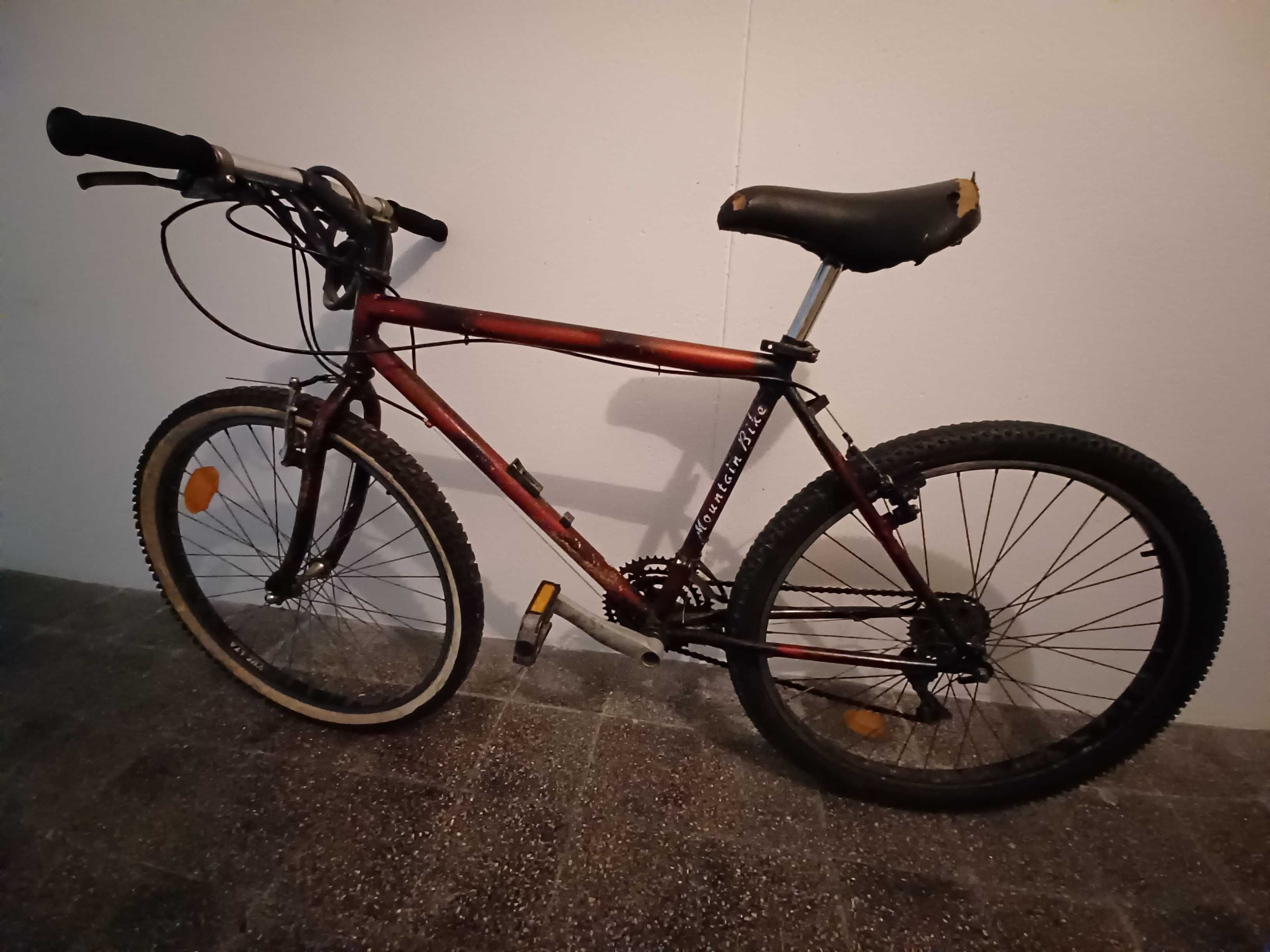 Bicicleta jovem/adulto quadro L roda 26