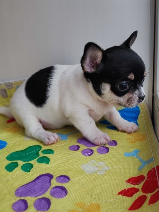 Кукляшная девочка