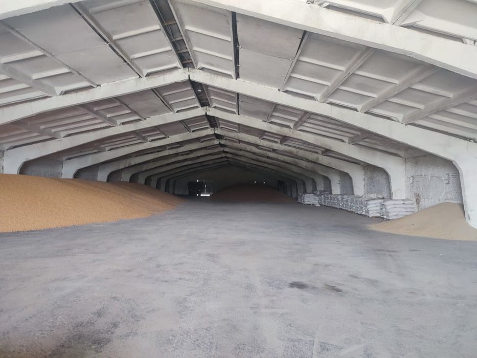 Діючий бізнес. Комплексна бройлерна птахоферма, забійний цех