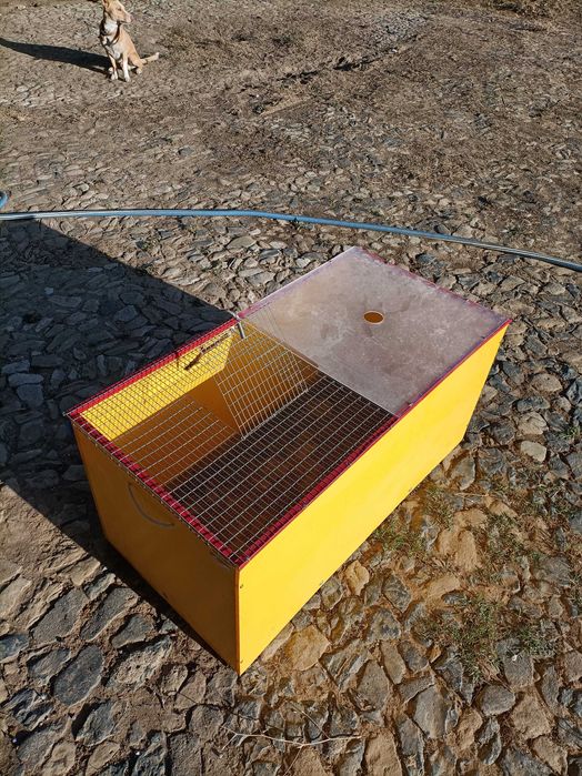 Criadeira Chick Max 100x50 cm (Com acessórios)