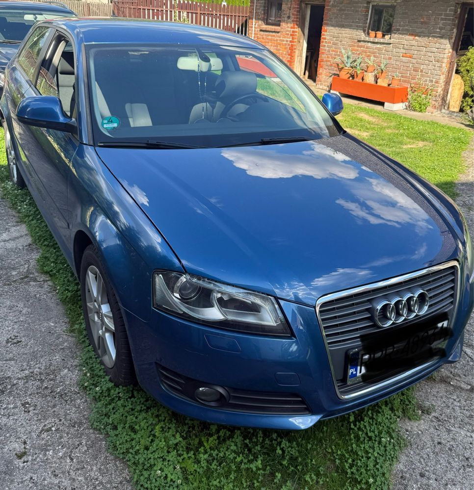 Audi A38P 2009 1,6TDI 105 km.