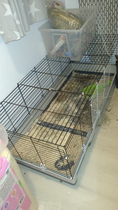 Sprzedam duża klatkę dla gryzoni, siano, karmę i trociny