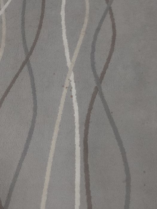 Sprzedam dywan do czyszczenia 195x135 cm.