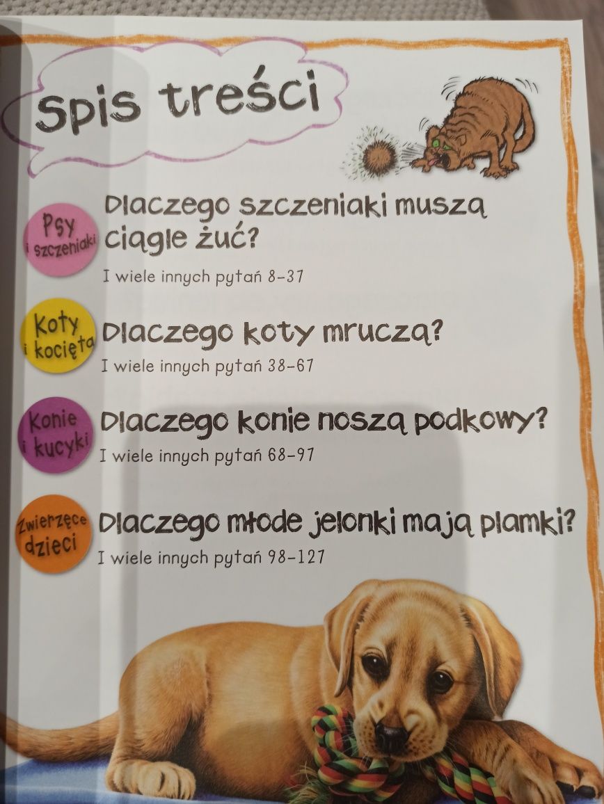 Książka Zwierzęta. Pytania i odpowiedzi z serii Dowiedz się sam