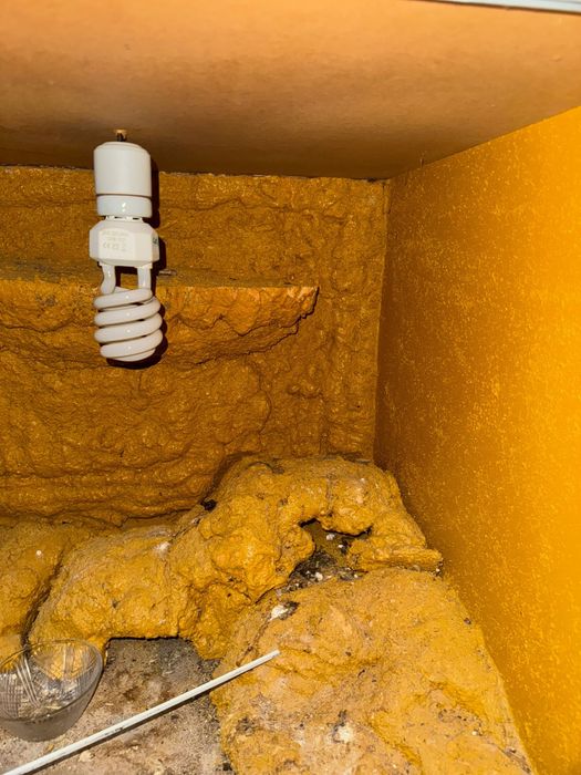 Terrario para repteis