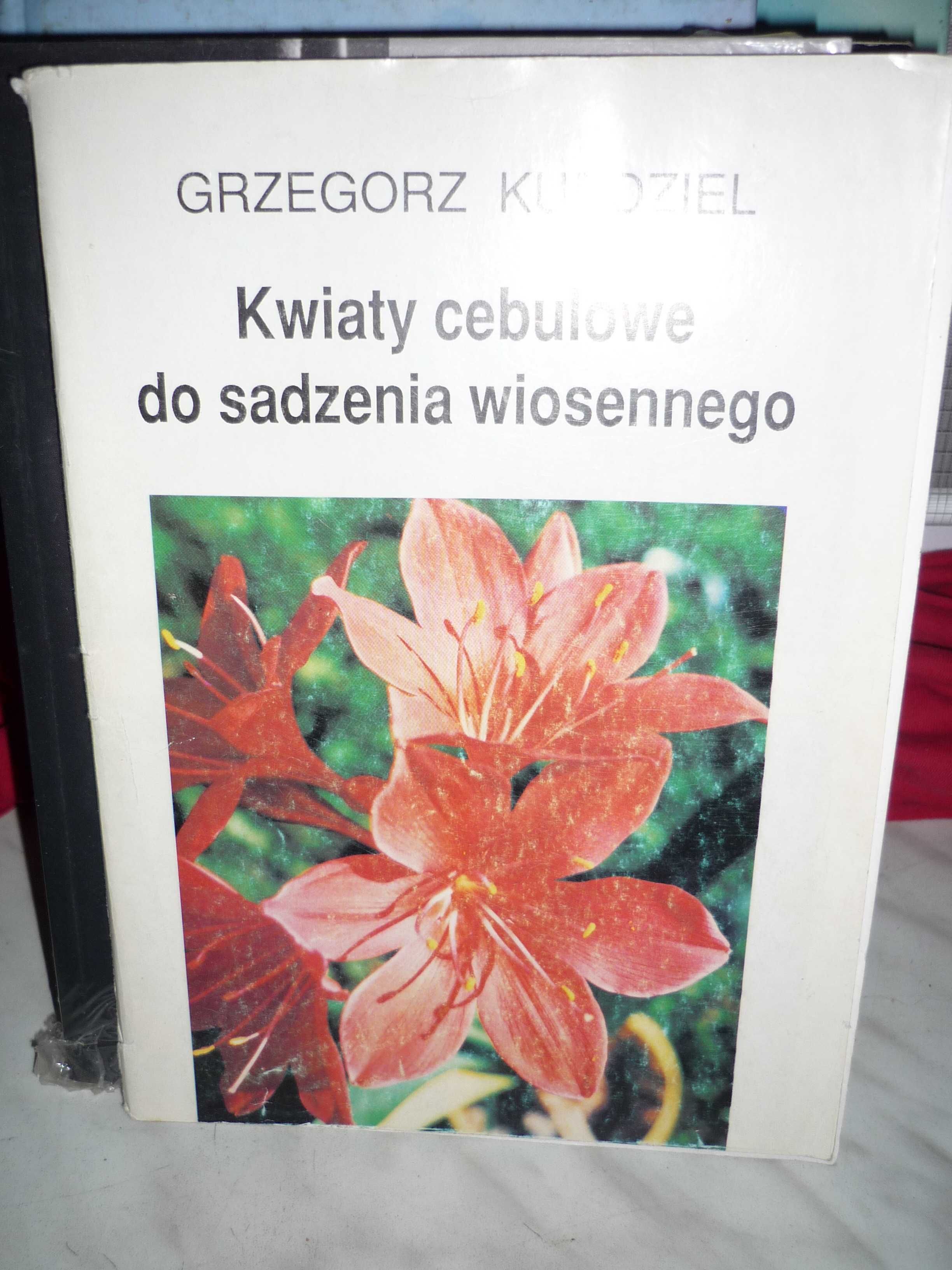 Kwiaty cebulowe do sadzenia wiosennego , Grzegorz Kurdziel.