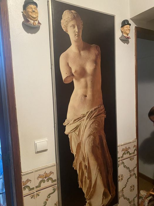 Quadro decorativo de Vénus