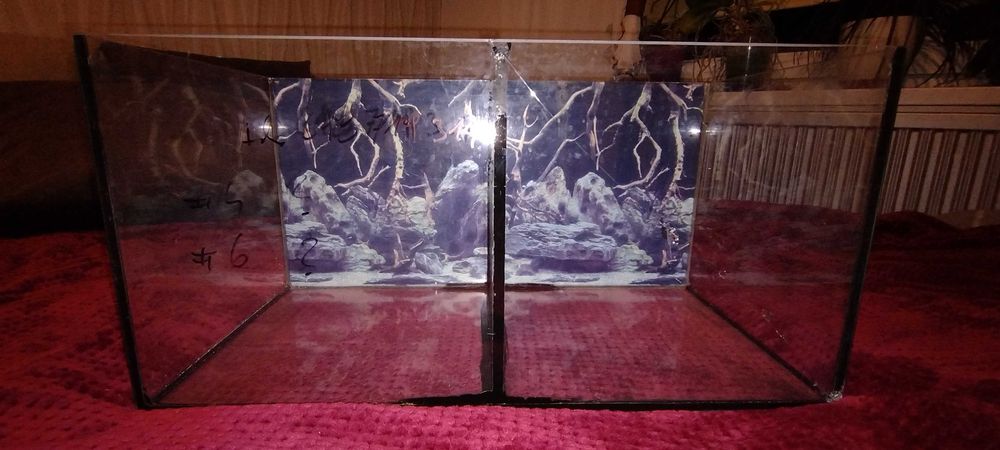 Akwarium terrarium dla pająków, ślimaków żabek mrówek