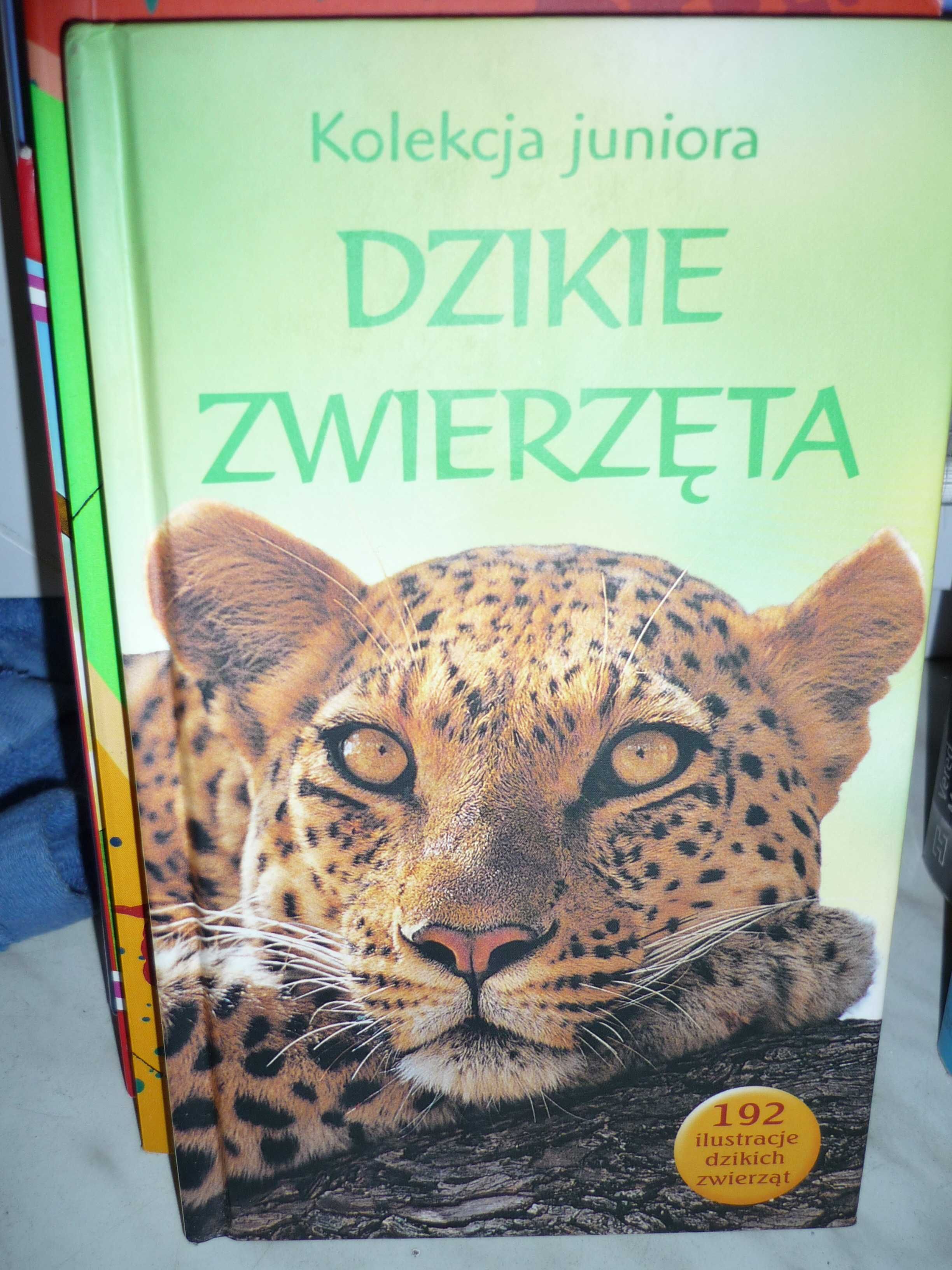 Dzikie zwierzęta , Kolekcja juniora.