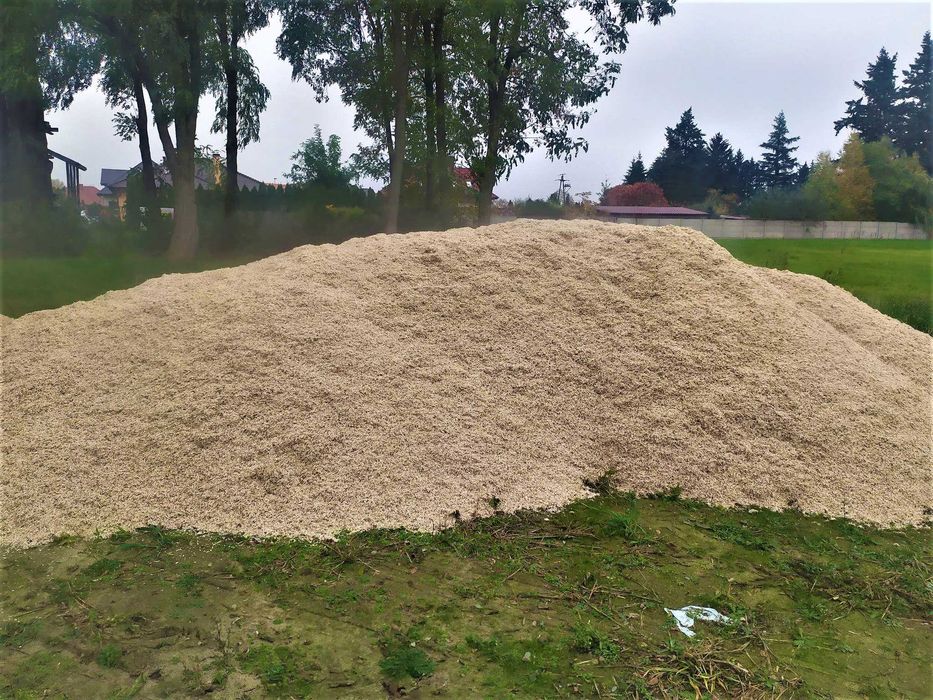 wysłodki buraczane luz