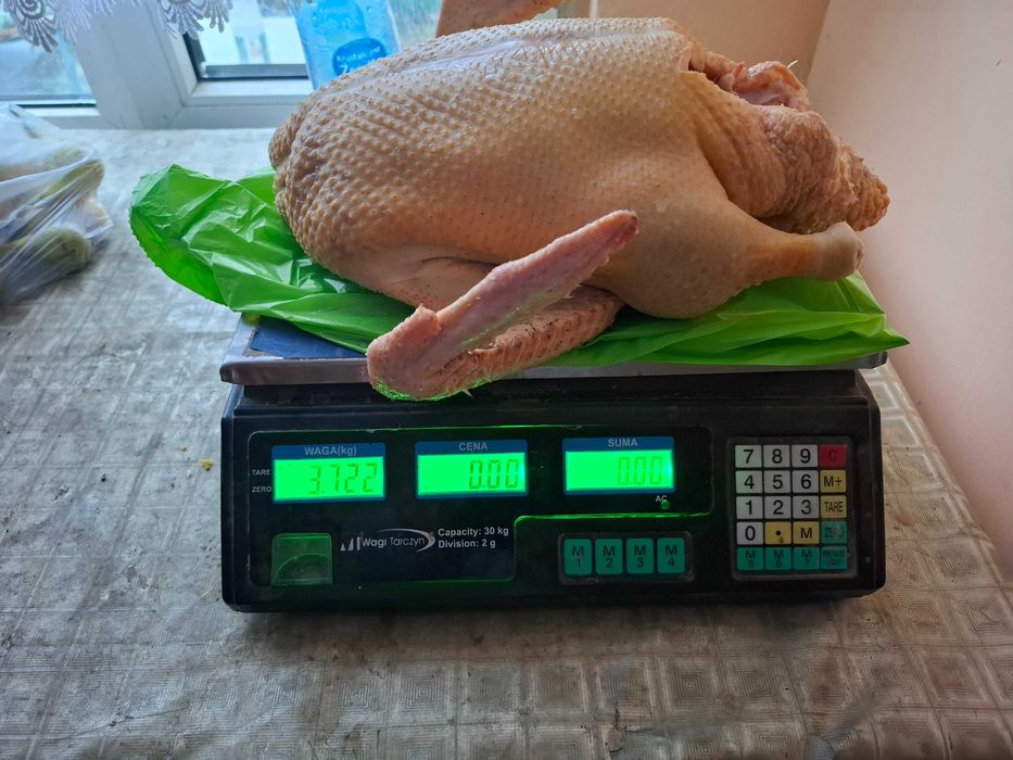 Tuszki kaczek na zamówienie