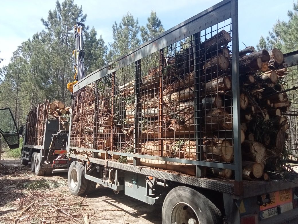 Renault Kerax 400 6x4 com grua guerra e reboque  florestal