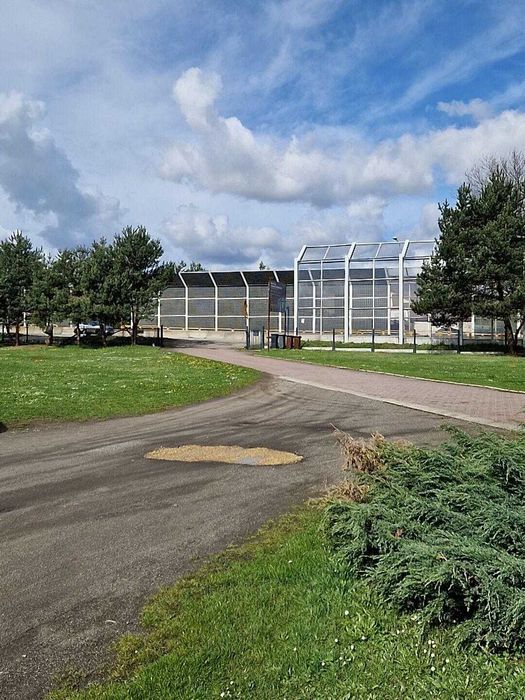 Hala magazynowa ,produkcyjna Orzesze ul.Centralna 190