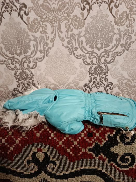 Одежда для собачки