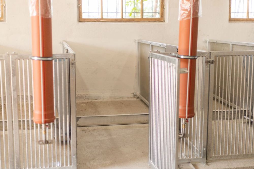 Продаж Ферми Новий напрямок