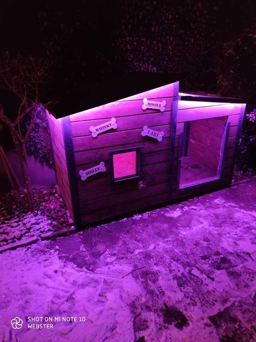 Solidna buda XXL dla dużego psa!!! Labrador Alaskan z przedsionkiem