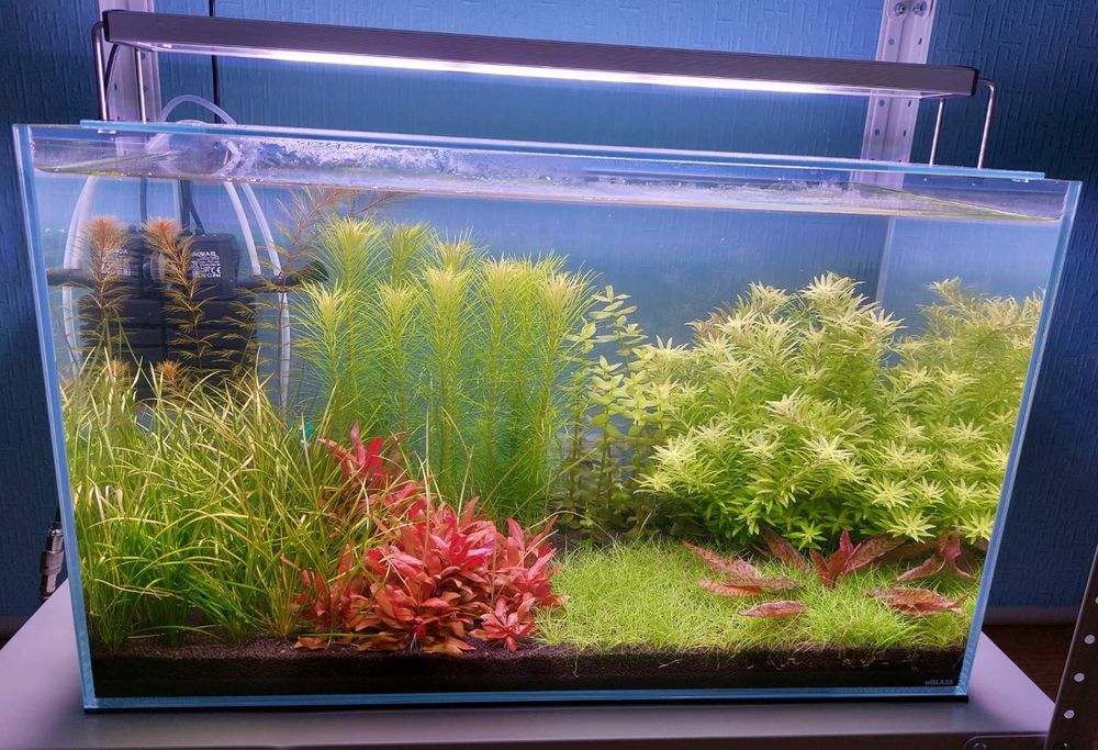 Аквариум aGLASS Collar 66 литров