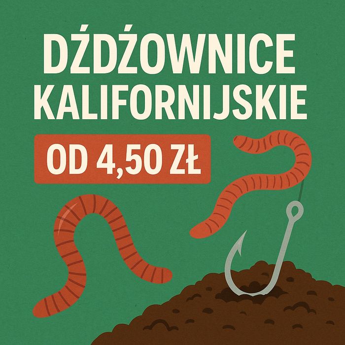 DŻDŻOWNICE KALIFORNIJSKIE – Hit na ryby i do kompostu!