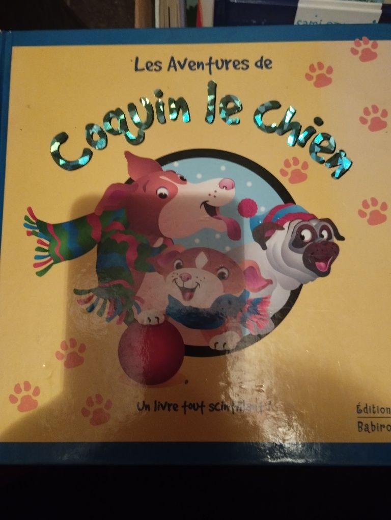 Książka po francusku dla dzieci