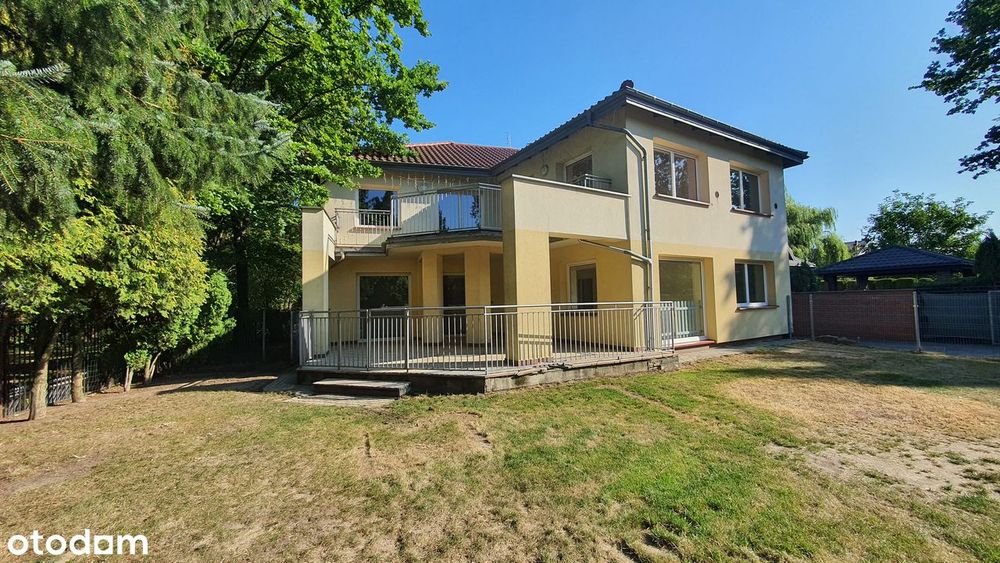 lokal do wynajęcia 255m2