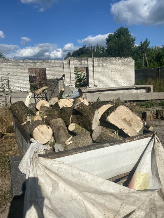 Дрова на заказ рубаные и в колодках