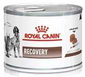 Karma do żywienia psów i kotów przez zgłębnik - Royal Canin 195g